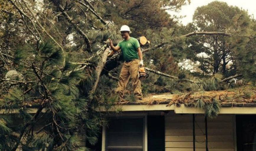 Roldan Tree Service